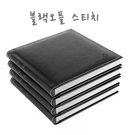 웨딩앨범/여행/디자인/압축앨범