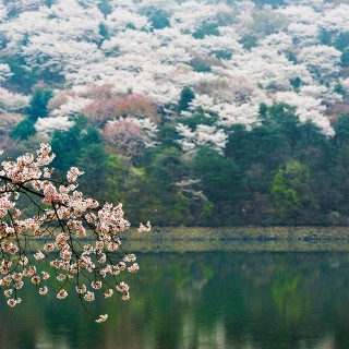 호수/이경진