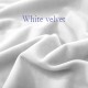 화이트벨벳(White velvet)